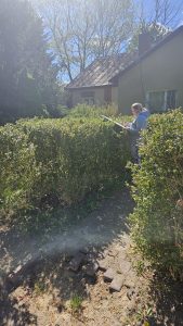 Uczestniczka pleneru w trakcie malowania