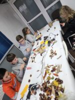 Dzieci na warsztatach, robiące ptaszki z kasztanów