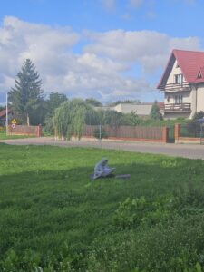 Kobieta malująca obraz podczas pleneru.